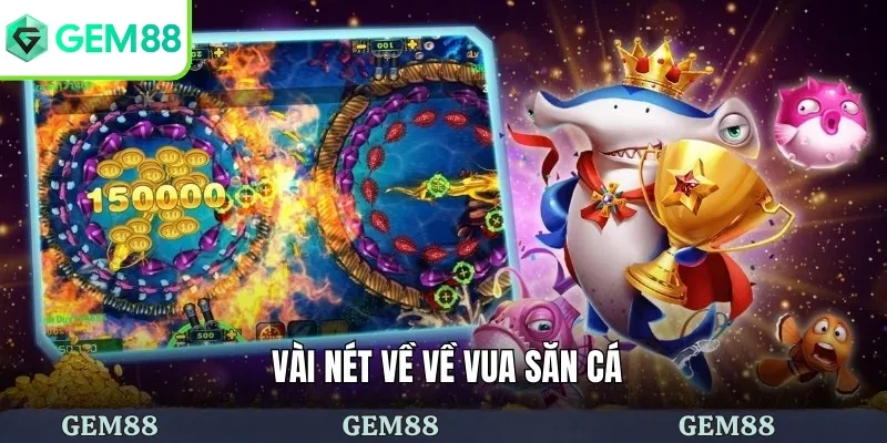 Vài nét về về vua săn cá