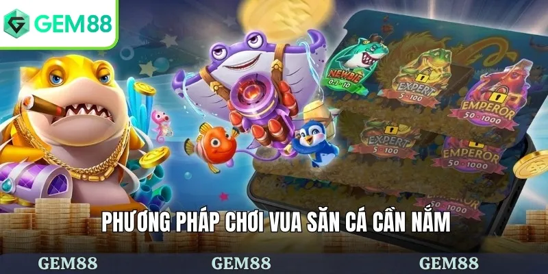 Phương pháp chơi vua săn cá cần nắm